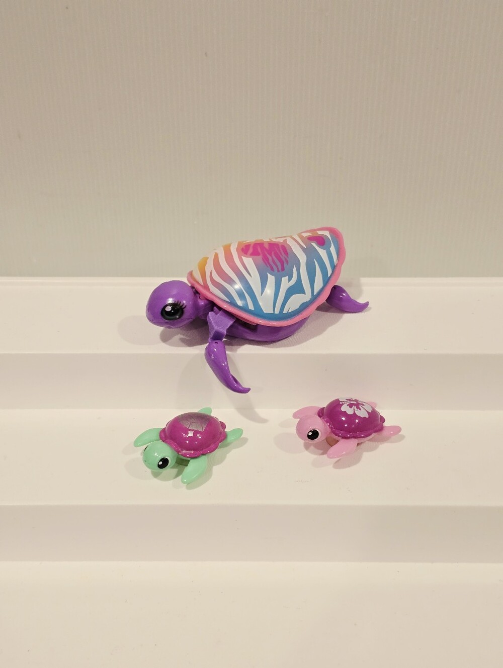 Little Live Pets Lil' Turtle Set
